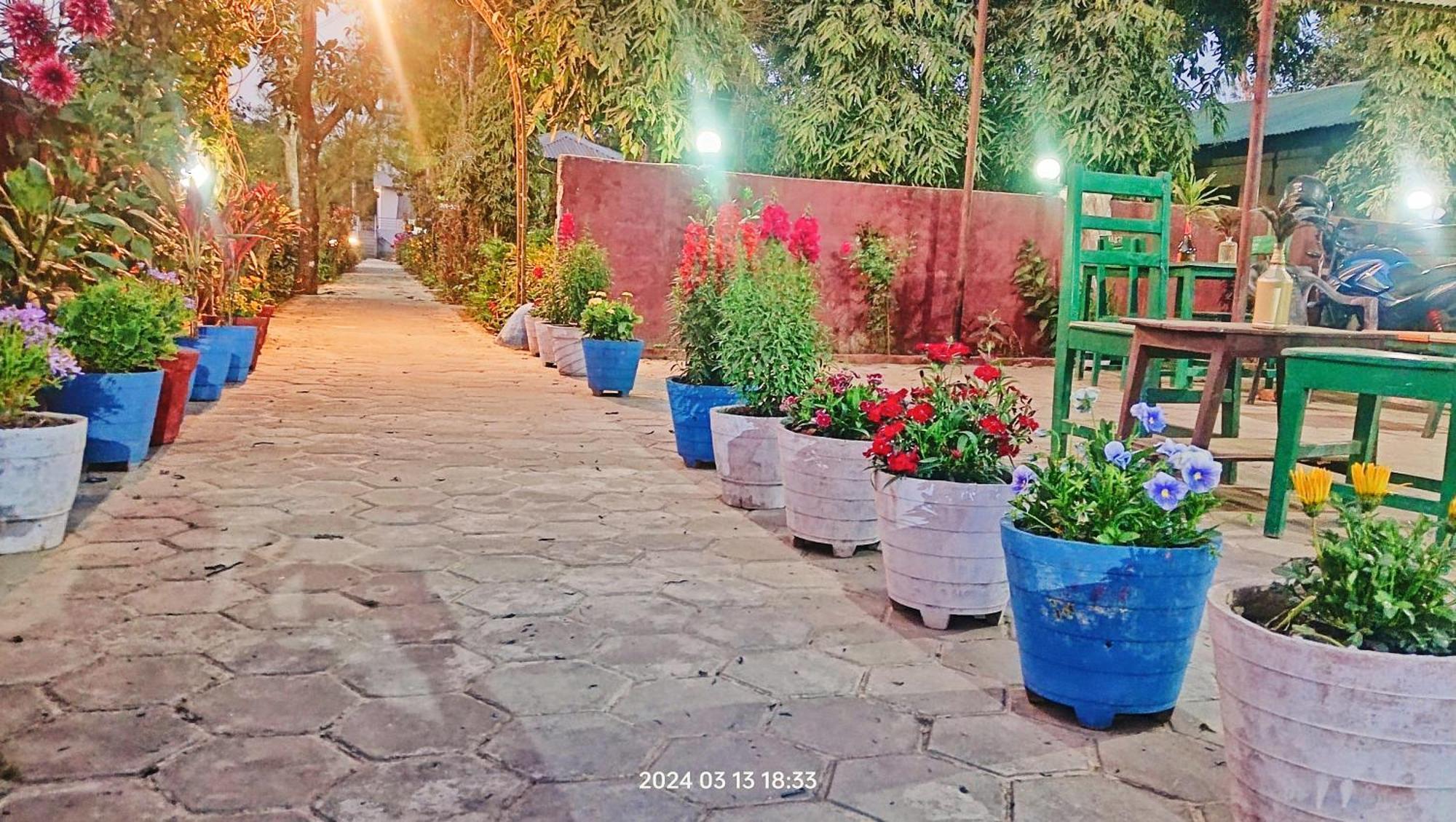 Hotel Butterfly - Peaceful Garden For Nature Lovers Sauraha Exterior photo