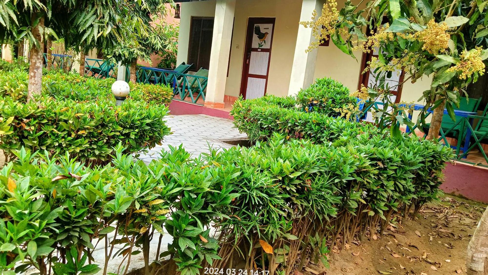 Hotel Butterfly - Peaceful Garden For Nature Lovers Sauraha Exterior photo