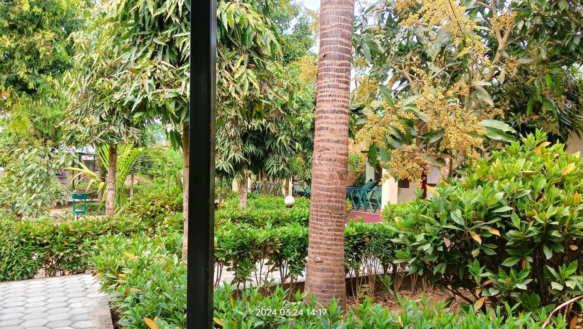 Hotel Butterfly - Peaceful Garden For Nature Lovers Sauraha Exterior photo