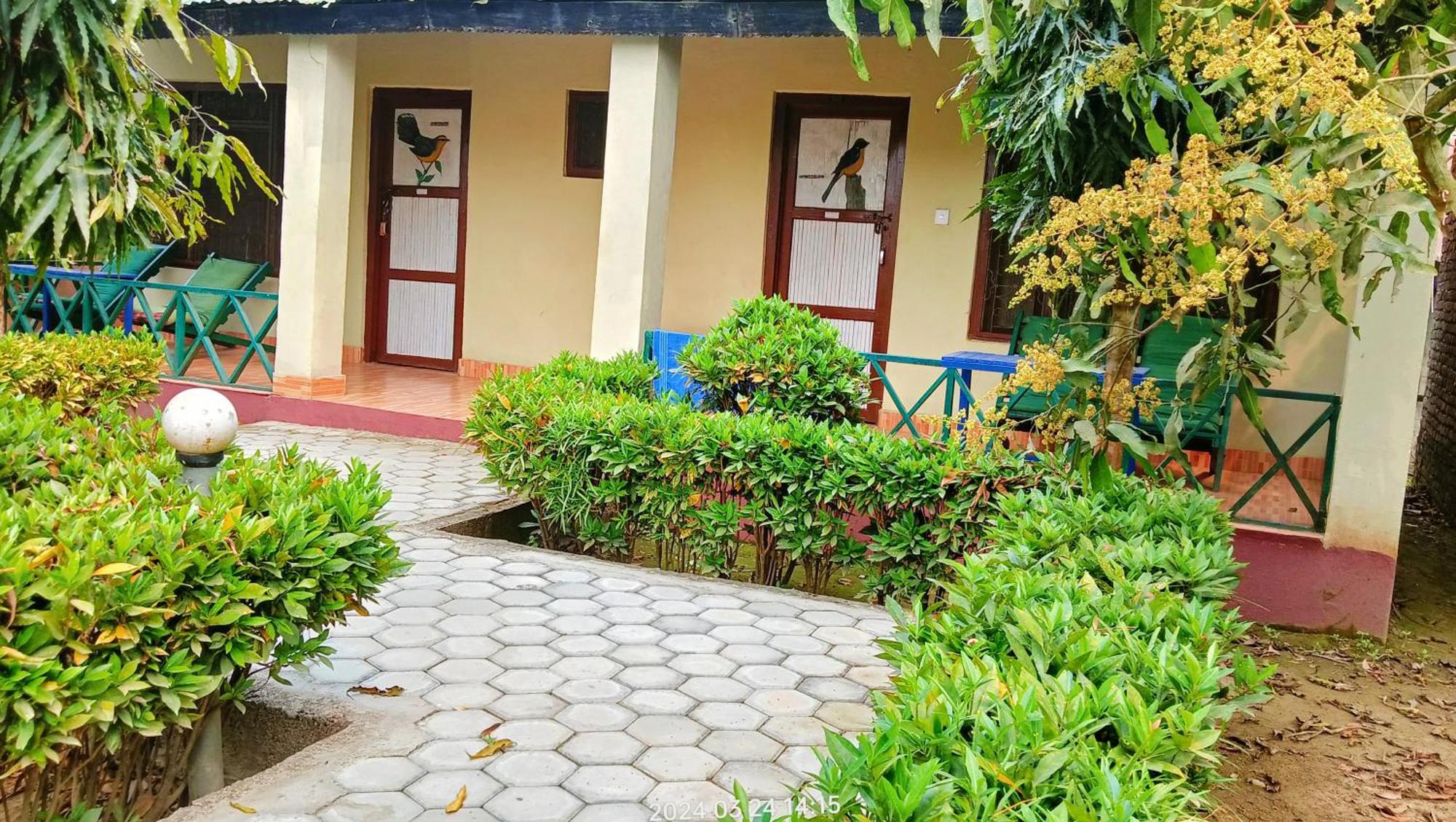 Hotel Butterfly - Peaceful Garden For Nature Lovers Sauraha Exterior photo