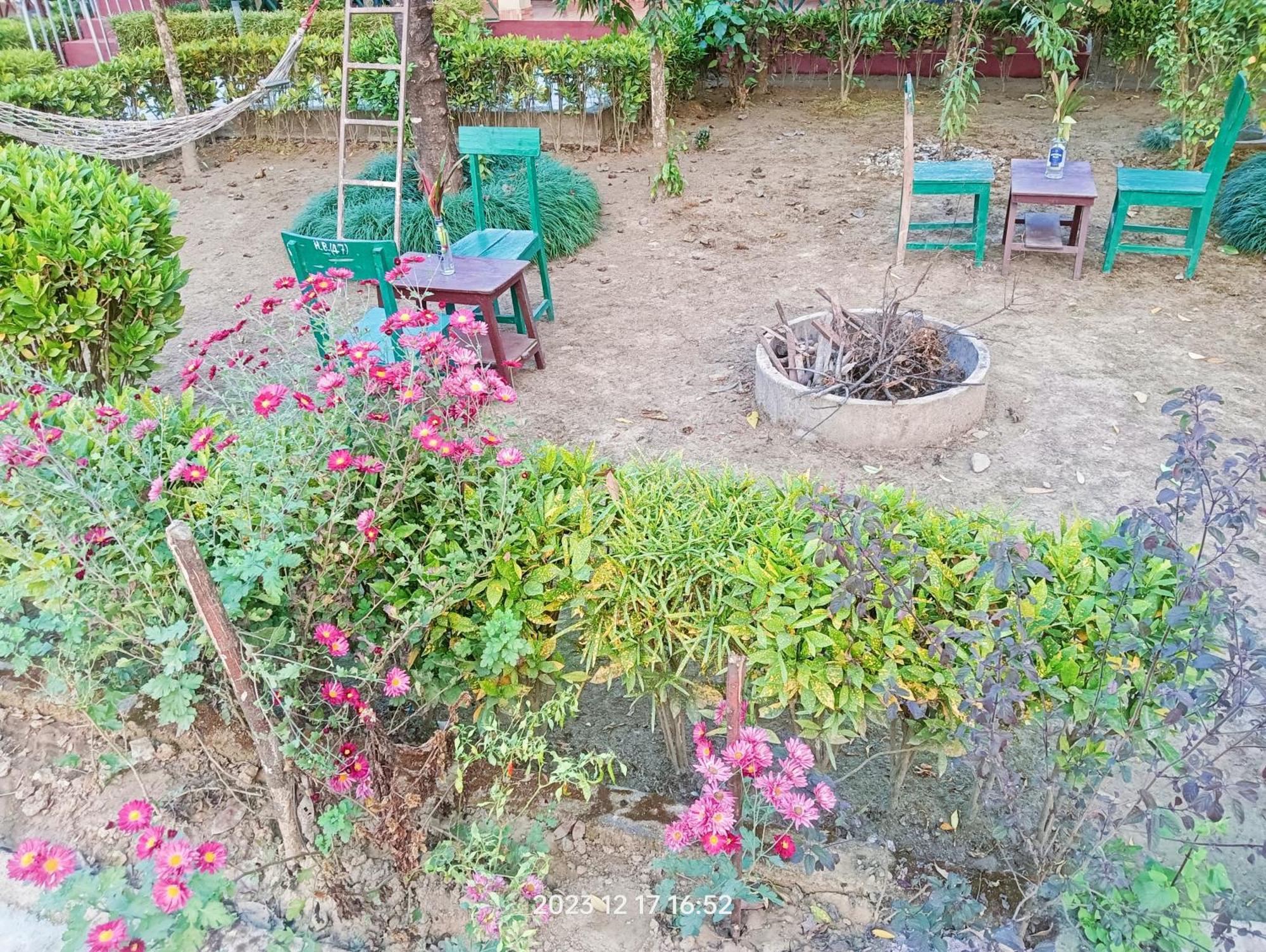 Hotel Butterfly - Peaceful Garden For Nature Lovers Sauraha Exterior photo
