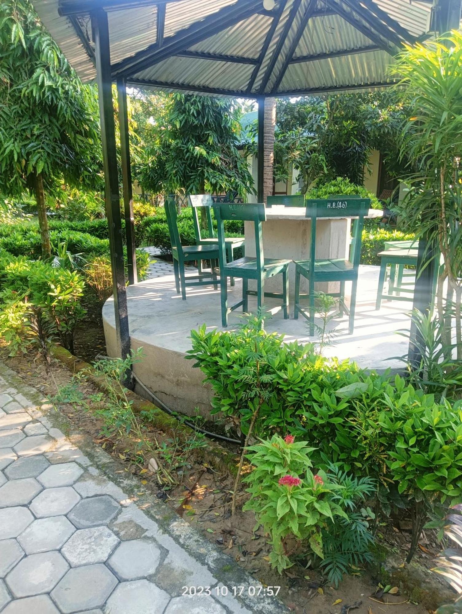Hotel Butterfly - Peaceful Garden For Nature Lovers Sauraha Exterior photo