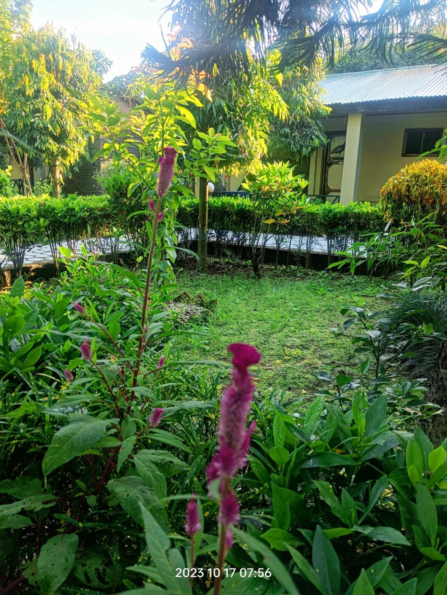 Hotel Butterfly - Peaceful Garden For Nature Lovers Sauraha Exterior photo