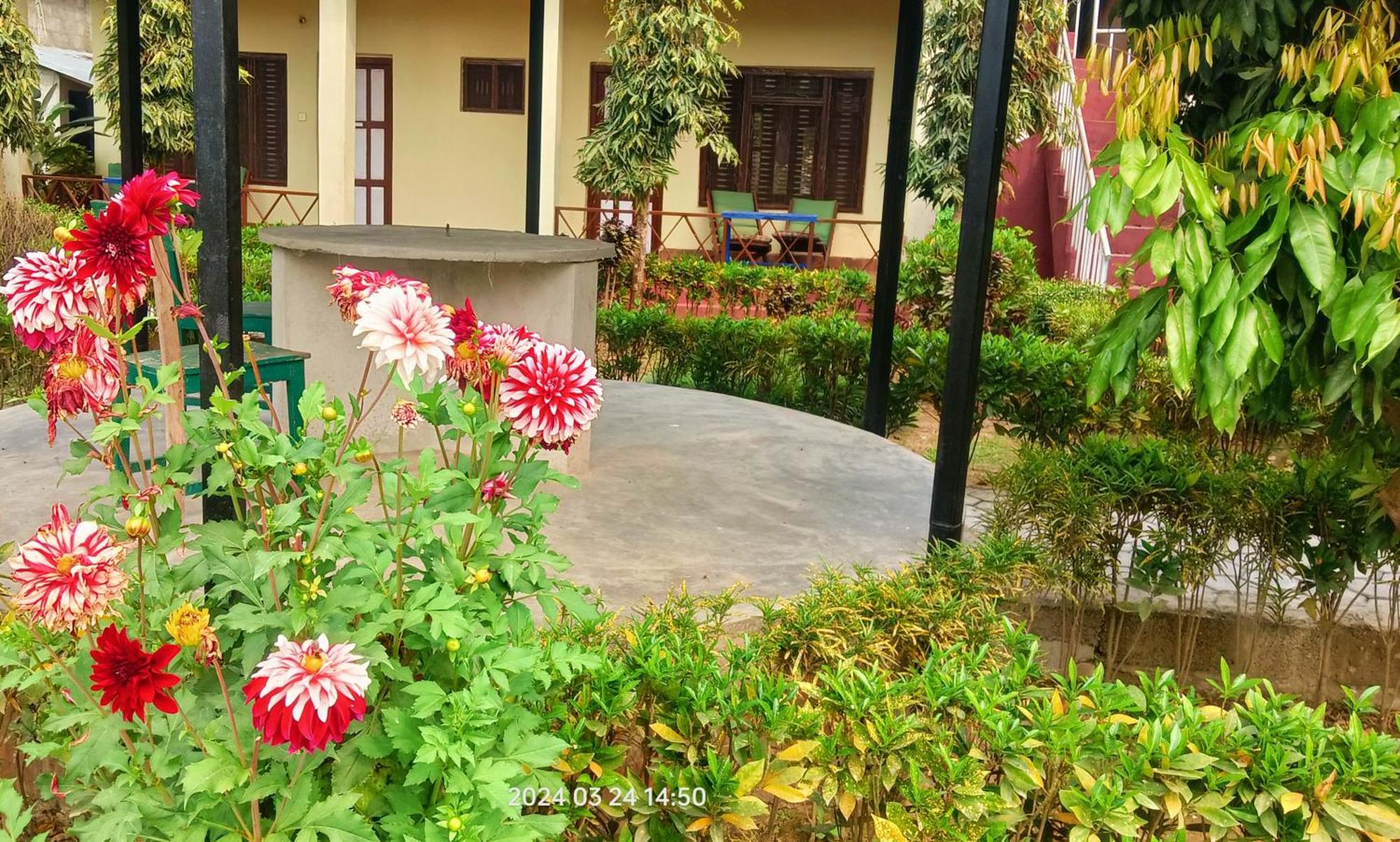 Hotel Butterfly - Peaceful Garden For Nature Lovers Sauraha Exterior photo