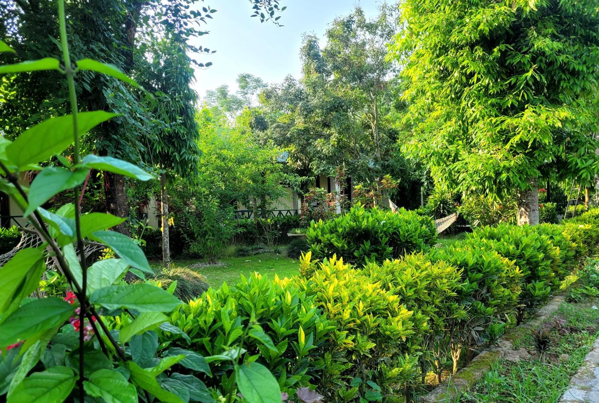 Hotel Butterfly - Peaceful Garden For Nature Lovers Sauraha Exterior photo
