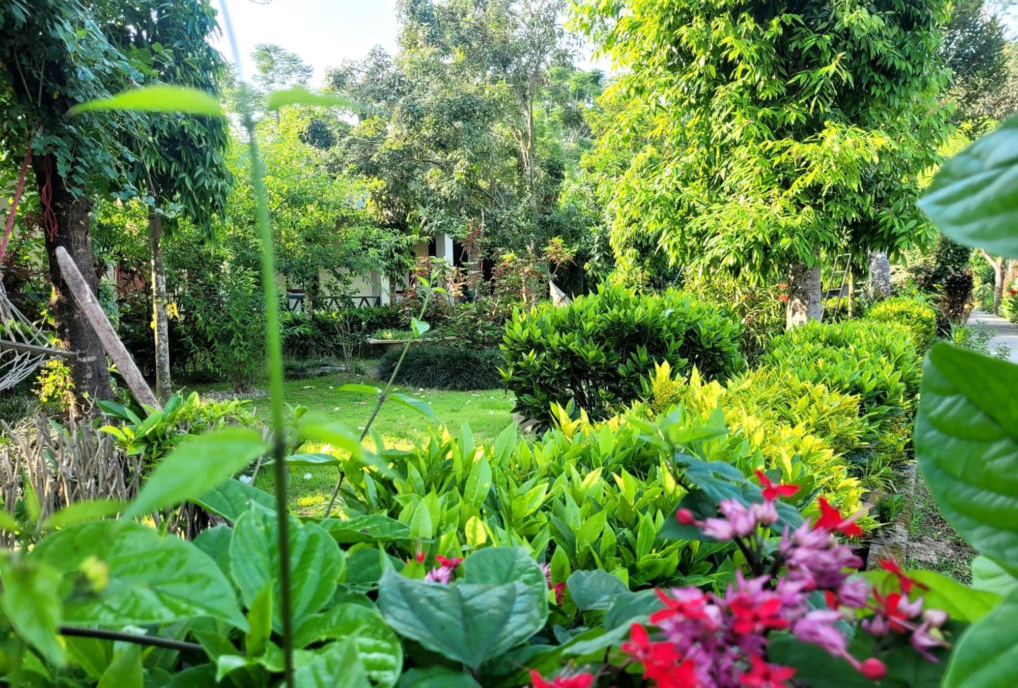 Hotel Butterfly - Peaceful Garden For Nature Lovers Sauraha Exterior photo